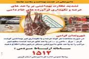 تشدید کنترل و نظارت بهداشتی ویژه ماه مبارک رمضان در شهرستان آبیک